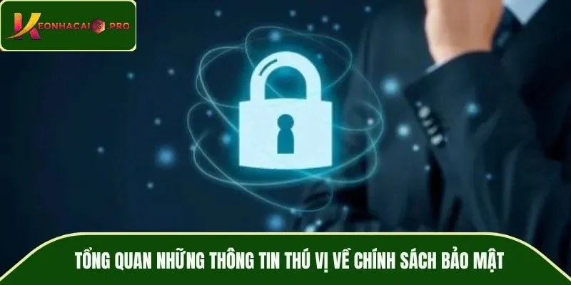 Tổng quan những thông tin thú vị về chính sách bảo mật