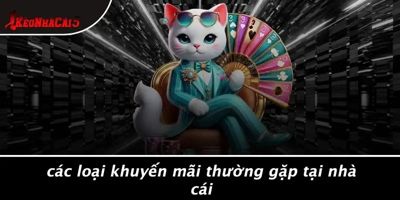 Các Loại Khuyến Mãi Thường Gặp Tại Nhà Cái
