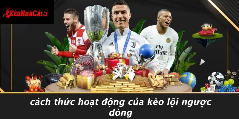 Cách Thức Hoạt Động Của Kèo Lội Ngược Dòng