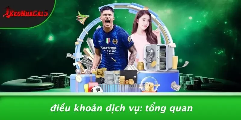 Điều Khoản Dịch Vụ: Tổng Quan