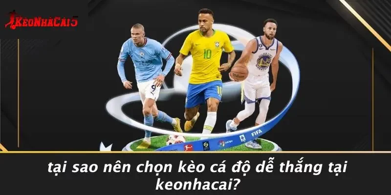 Tại Sao Nên Chọn Kèo Cá Độ Dễ Thắng Tại Keonhacai?