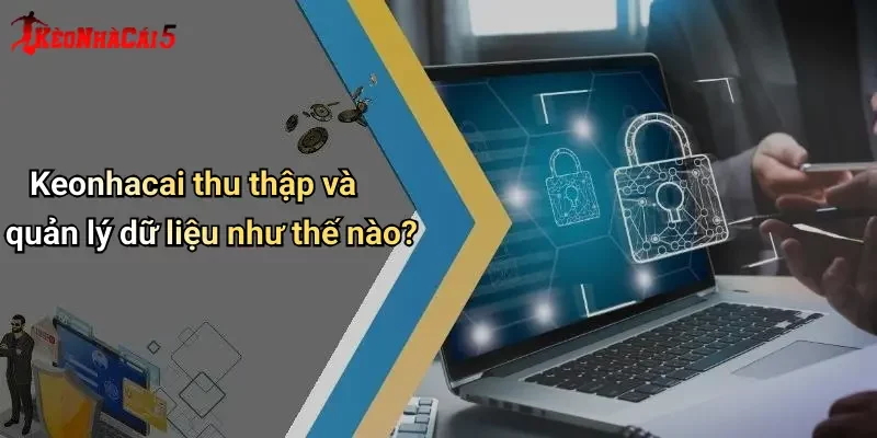 Keonhacai thu thập và quản lý dữ liệu như thế nào?