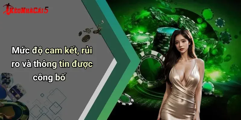 Mức độ cam kết, rủi ro và thông tin được công bố
