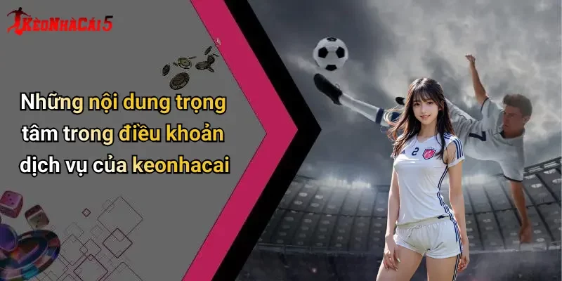 Những nội dung trọng tâm trong điều khoản dịch vụ của keonhacai