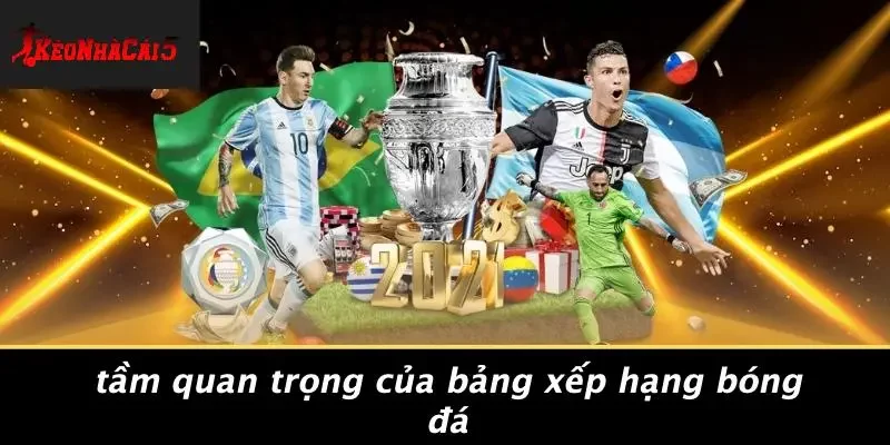 Tầm Quan Trọng Của Bảng Xếp Hạng Bóng Đá